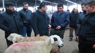 Hayvan Pazarında Üretici İsyan Etti