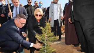 Şehit Ve Gazi Yakınları İçin Fidanlar Toprakla Buluştu