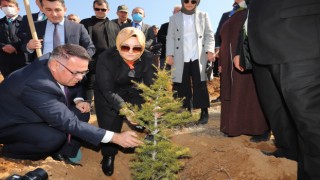 Şehit Ve Gazilerimizin İsimleri Hatıra Ormanında Yaşatılacak