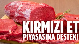 Kırmızı Et Piyasasına Destek