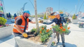 Belediye Çiçek Maliyetini Düşürdü