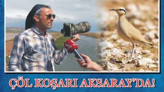 Çöl Koşarı Aksaray’da!