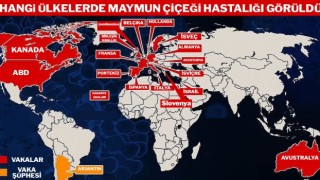 DSÖ’den Maymun Çiçeği Hastalığı Açıklaması: Nasıl Bulaştığını Duyurdular