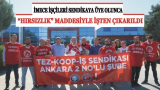 İmece İşçileri Sendikaya Üye Olunca “Hırsızlık” Maddesiyle İşten Çıkarıldı