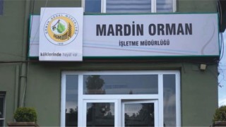 Fidan üretiminde kullanılacak muhtelif malzemeler satın alınacaktır