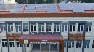 Orman yolu yaptırılacaktır