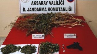 Bin 200 Gram Esrar Ele Geçirildi, Bir Kişi Gözaltına Alındı