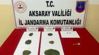 Jandarma Gülağaç’ta Uyuşturucu Operasyonu Yaptı