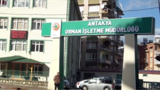 Satış depolarında istifleme hizmeti alınacak