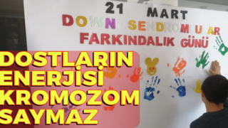 Dostların Enerjisi Kromozom Saymaz