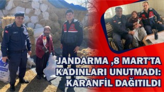 Jandarma, 8 Mart'ta Kadınları Unutmadı: Karanfil Dağıtıldı