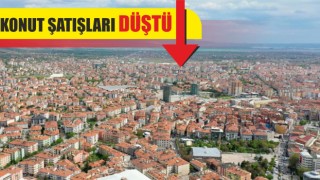  Konut Şatışları Düştü