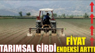 Tarımsal Girdi Fiyat Endeksi Arttı