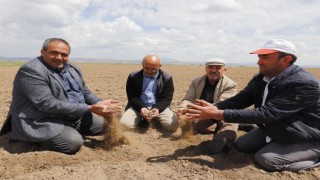 Ziraat Odası Başkanı Koçak: Bahar Yağmurları Altın Değerinde