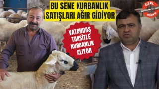 Bu Sene Kurbanlık Satışları Ağır Gidiyor Vatandaş Taksitle Kurbanlık Alıyor