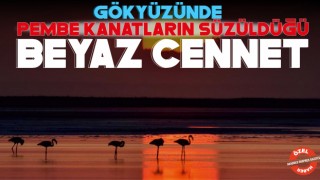 Gökyüzünde Pembe Kanatların Süzüldüğü Beyaz Cennet