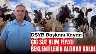 DSYB Başkanı Kayan: Çiğ Süt Alım Fiyatı Beklentilerin Altında Kaldı