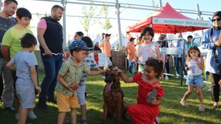 Narkotik Köpeği Yaman, Çocukların Gözdesi Oldu