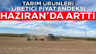 Tarım Ürünleri Üretici Fiyat Endeksi Haziran’da Arttı