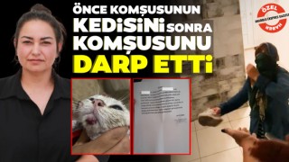 Önce Komşusunun Kedisini Sonra Komşusunu Darp Etti