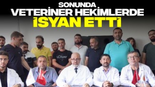 Sonunda Veteriner Hekimlerde İsyan Etti