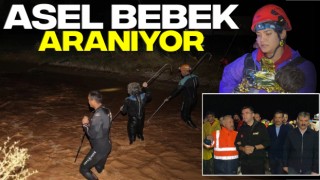 Asel Bebek Aranıyor