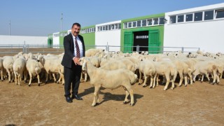 “Yöresel Hayvancılık Hibe Projeleri Desteği İle Aile İşletmeciliği Güçlendirilecek”