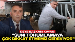 DSYB Başkanı Kayan: “Suni Tohumlamaya Çok Dikkat Etmemiz Gerekiyor”