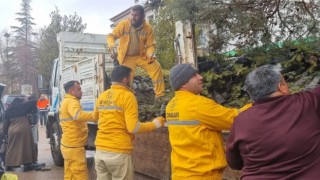 Vatandaşlara Ücretsiz Fidan Dağıtıldı