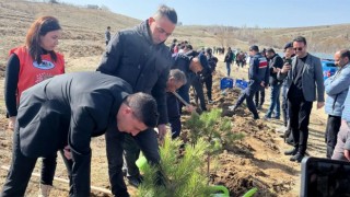 Ormancılık Haftasında Fidanlar Toprakla Buluştu