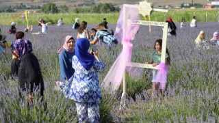 Lavanta Bahçesi, Ziyaretçilerine Huzur Dolu Anlar Sunuyor