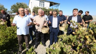 3.Bağ Bozumu Ve Pekmez Festivali, Coşkuyla Gerçekleşti