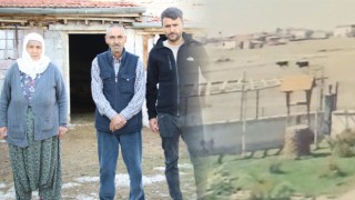 Büyükbaş Hayvanı Çalınan Aile, Yetkililerden Yardım Bekliyor