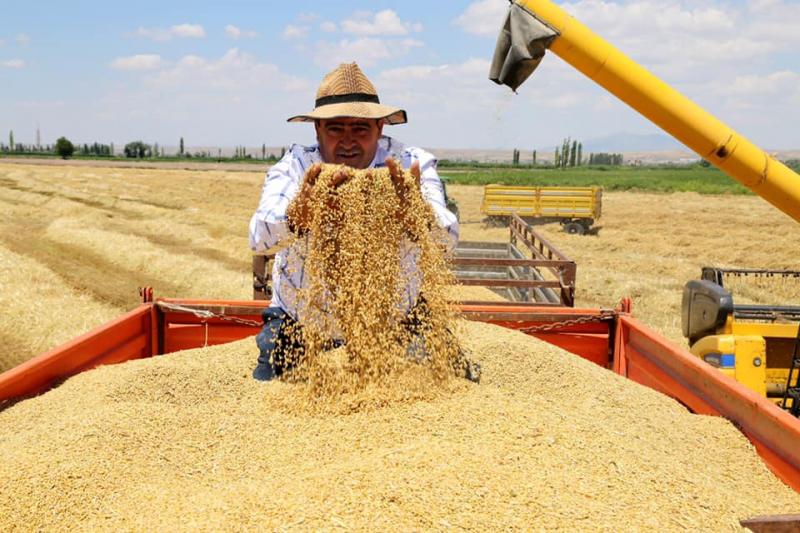 Aksaray’da Rekolte % 20 Düştü