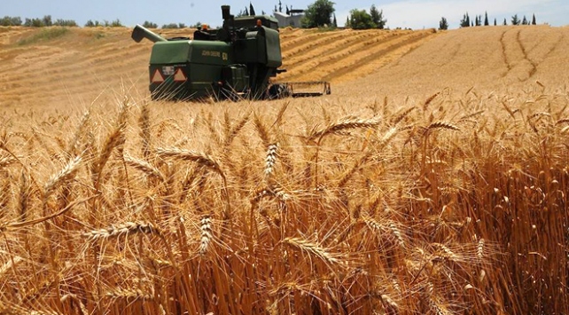 Çks Kaydı İçin Son Gün 28 Haziran