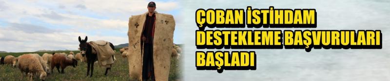 Çoban İstihdam Destekleme Başvuruları Başladı