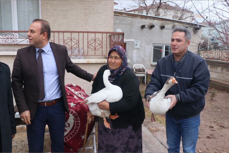 Hindileri Çalınan Fadik Teyzeye Kanatlı Hayvan Desteği