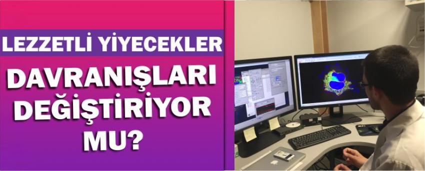 Lezzetli Yiyecekler Davranışlarınızı Değiştiriyor Mu?