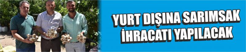 Yurt Dışına Sarımsak İhracatı Yapılacak